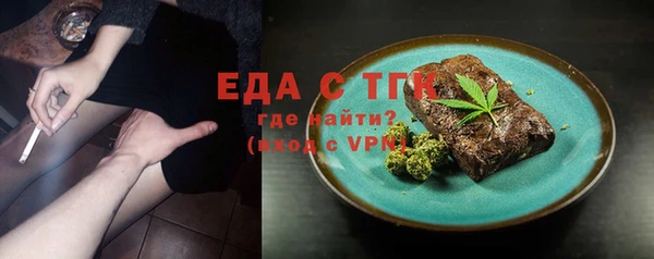 гидра Абаза