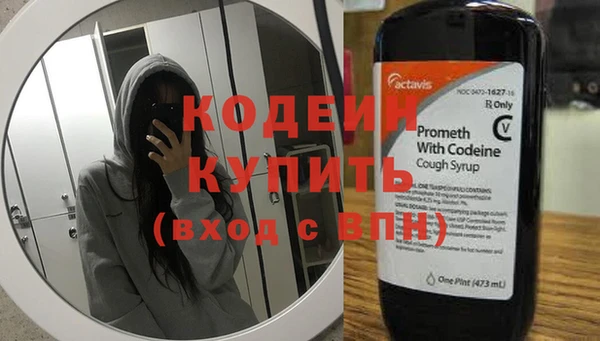 гидра Абаза