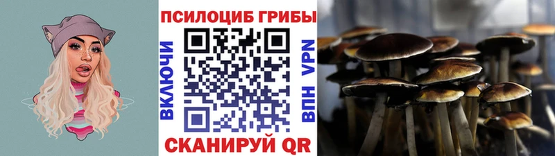 даркнет сайт  Котельнич  площадка формула  Галлюциногенные грибы мухоморы  MEGA ССЫЛКА 